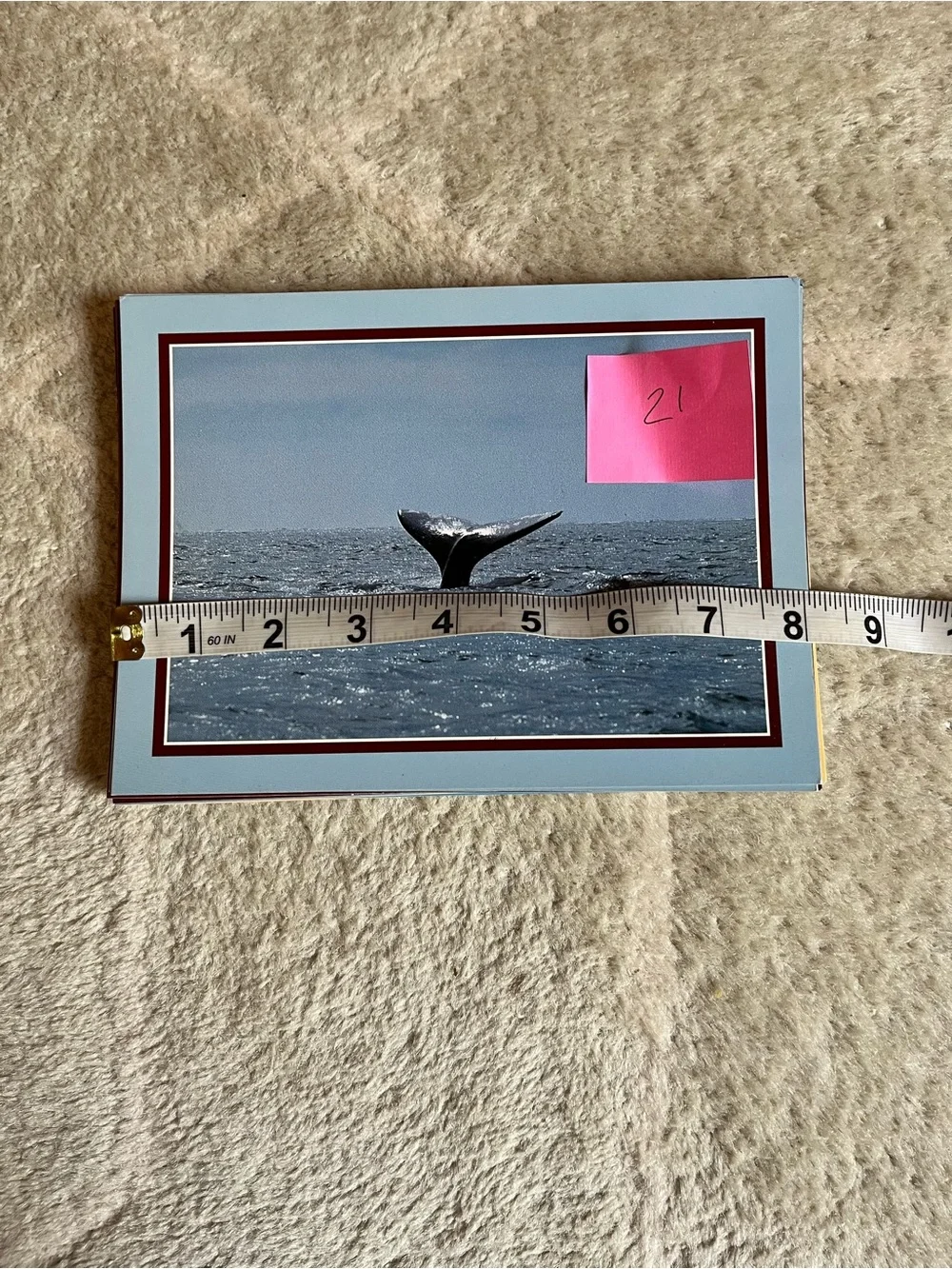 Lot of Vintage CA Postcards